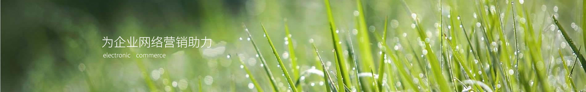 ƣɽҵ޹˾